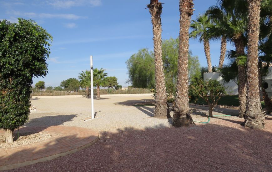 Sale - Finca - Daya Vieja