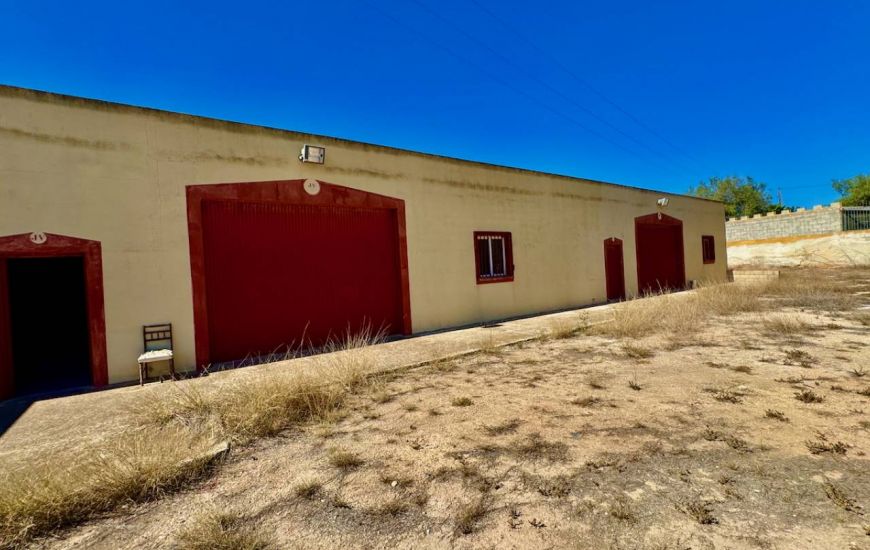 Sale -  - Los Montesinos - 