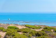 Sale - Apartments - La Mata