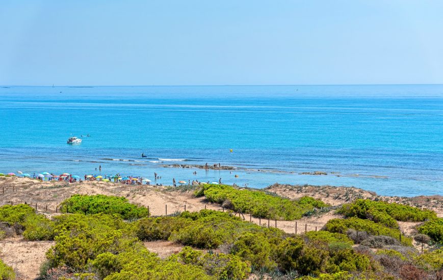 Sale - Apartments - La Mata