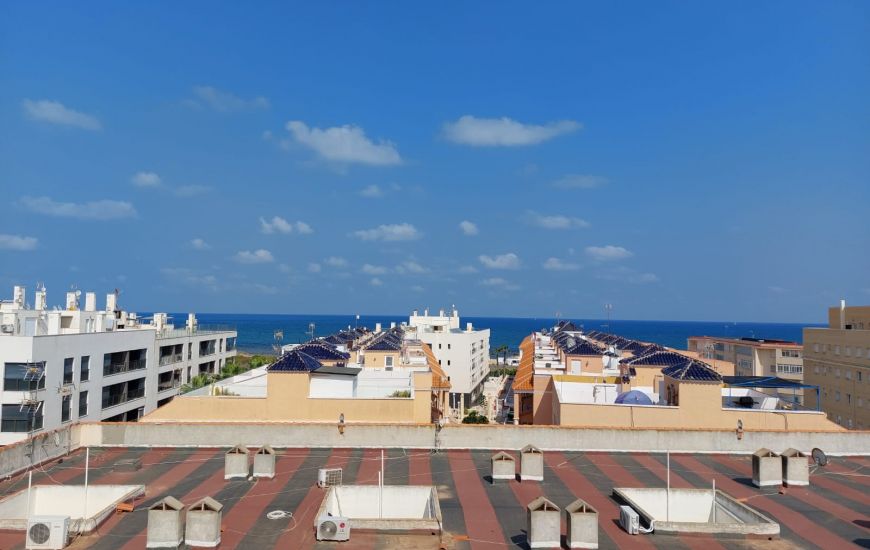 Sale - Apartments - 