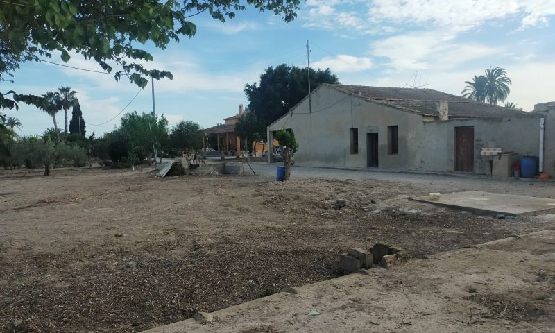 Sale - Finca - Elche