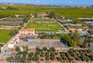 Sale -  - Los Montesinos - 