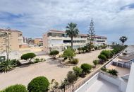 Sale - Apartments - Mil Palmerales - Mil Palmeras