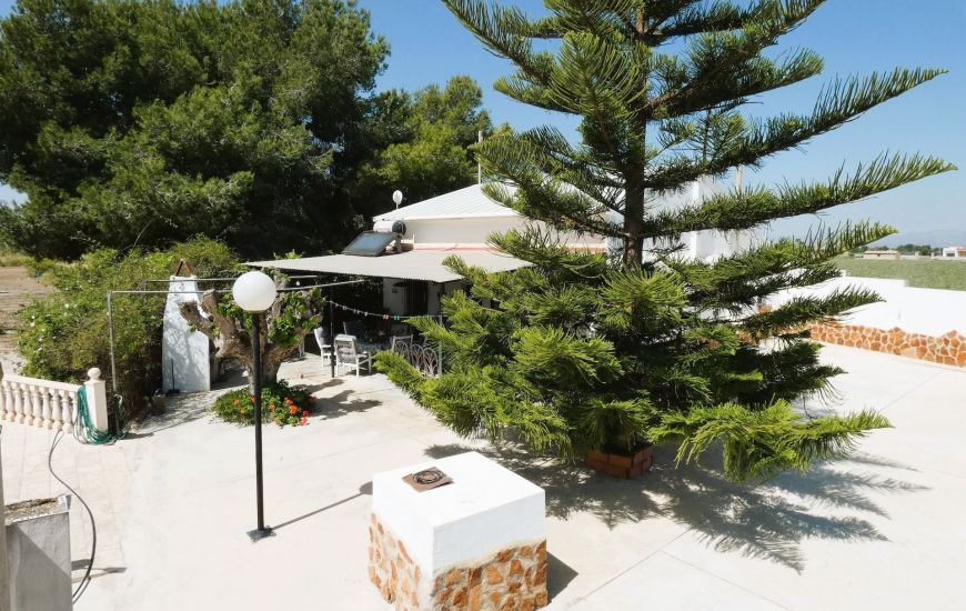 Sale - Finca - Dolores
