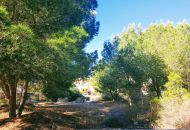 Venta - Terreno - Algorfa