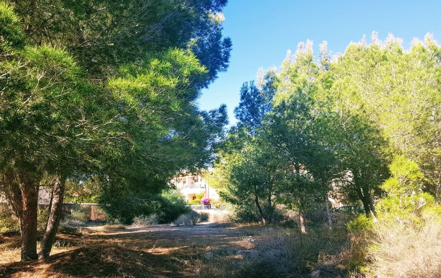 Venta - Terreno - Algorfa