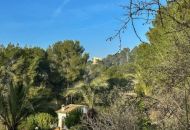 Sale - Apartments - 
