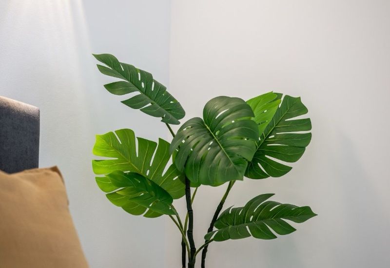 Sale - Apartments - Orihuela Costa