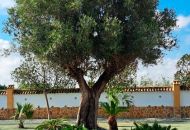 New Build - Finca - Catral