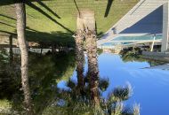 Sale - Apartments - Algorfa