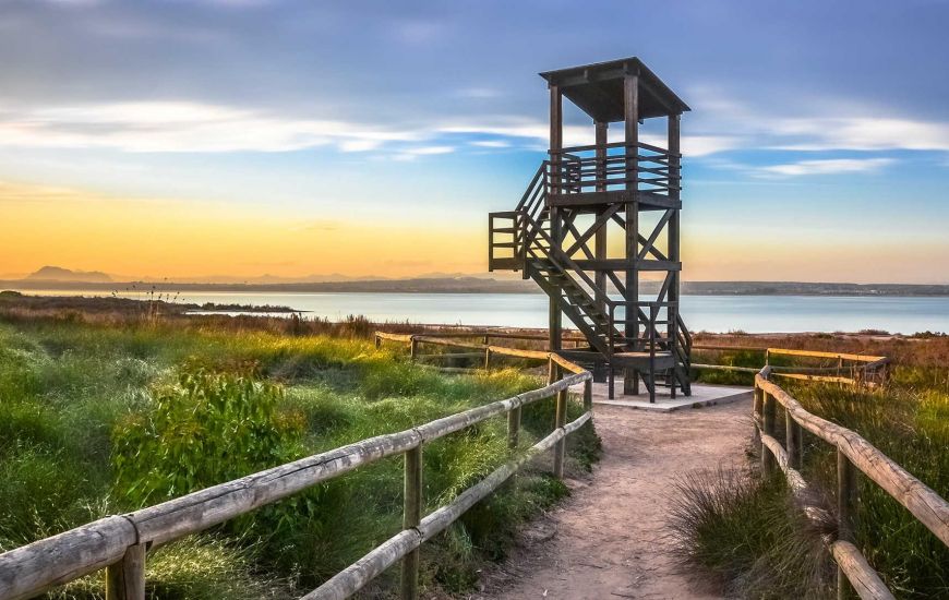 Venta - Apartamentos - Torrevieja