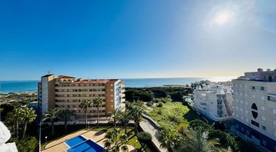 Apartments - Sale - La Mata - La Mata