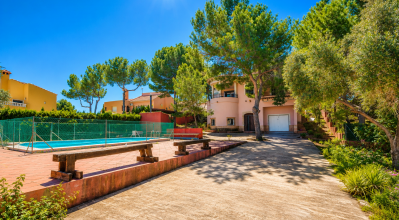 Villa - Sale - San Miguel de Salinas - San Miguel De Salinas