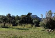 Sale - Villa - 