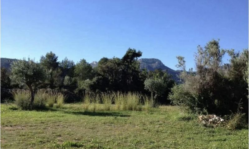 Sale - Villa - 