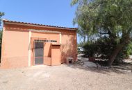 Sale - Finca - Catral