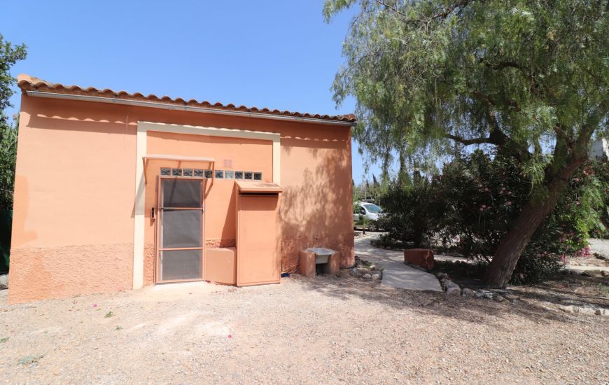 Sale - Finca - Catral