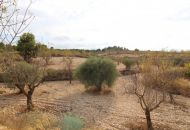 Sale - Land - Hondon de los Frailes