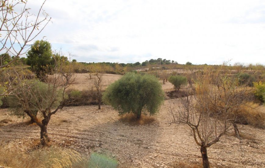 Sale - Land - Hondon de los Frailes