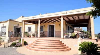 Country Property - Sale - Catral - Catral