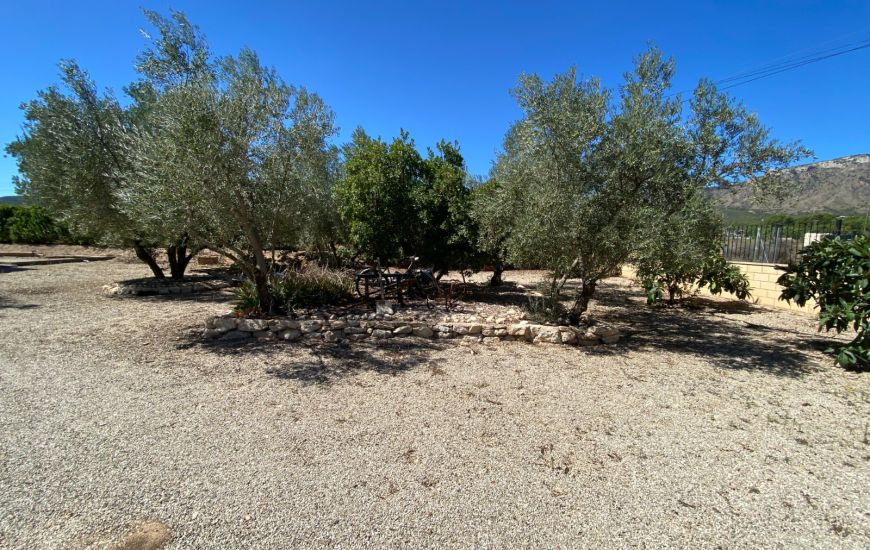 Sale - Finca - Salinas