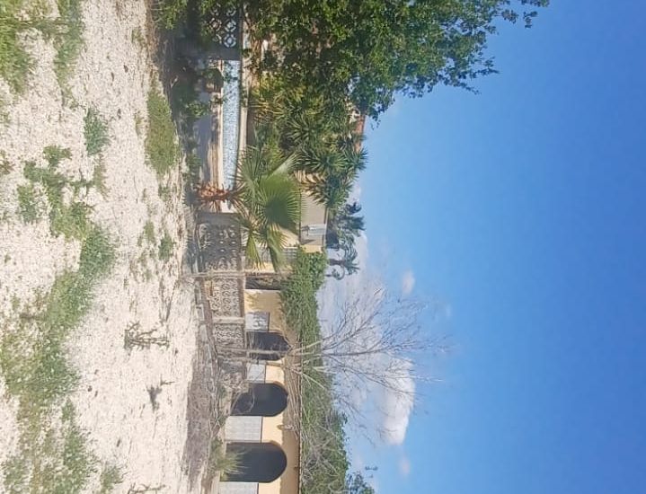 Venta - Casa Rural - Rojales