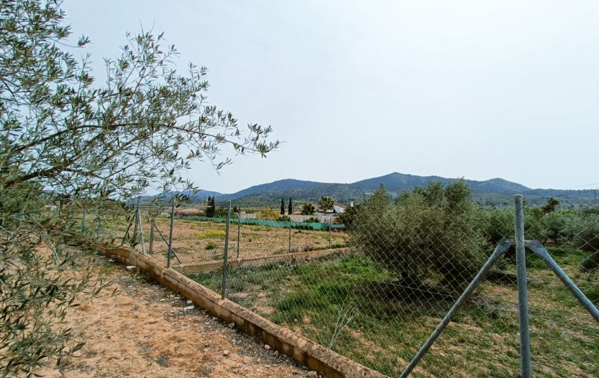 Sale - Villa - Hondon de los Frailes