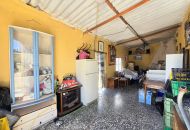 Sale - Finca - Salinas