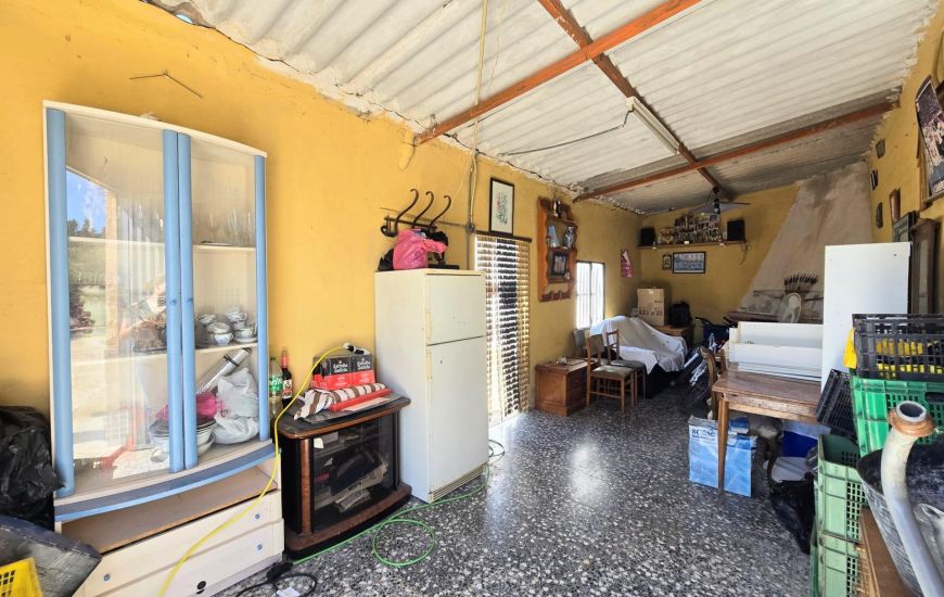 Sale - Finca - Salinas