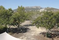 Venta - Apartamentos - 