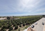 Sale - Apartments - Los Montesinos