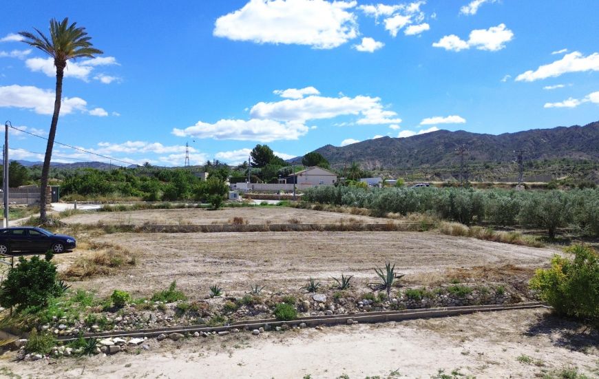 Sale - Finca - Abanilla