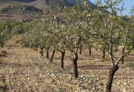 Sale - Land - Murcia