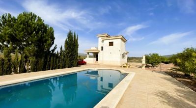 Finca - Sale - Pinoso - Pinoso