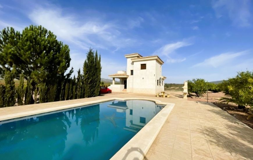 Sale - Finca - Pinoso