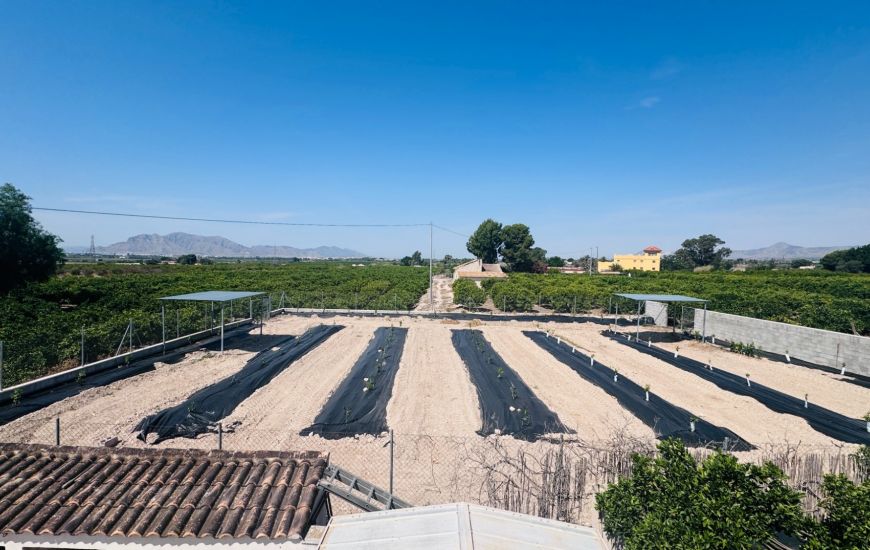 Sale - Country Property - Albatera