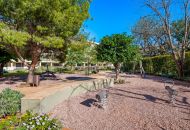 Sale - Apartments - Denia