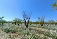 New Build - Finca - Pinoso