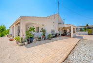 Venta - Country estate - Elche/Elx
