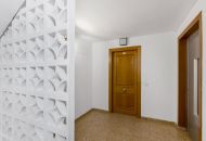 Venta - Apartamentos - Torrevieja