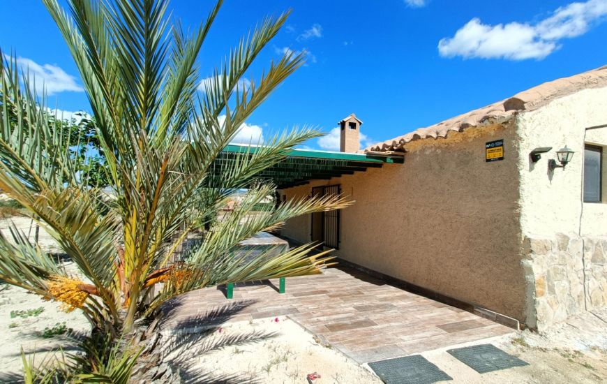Sale - Finca - Abanilla