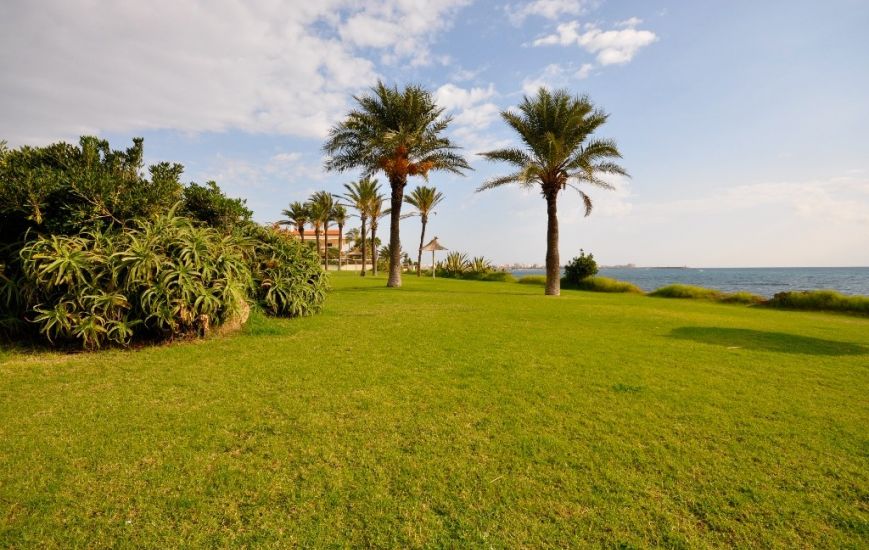 New Build - Apartments - Torrevieja