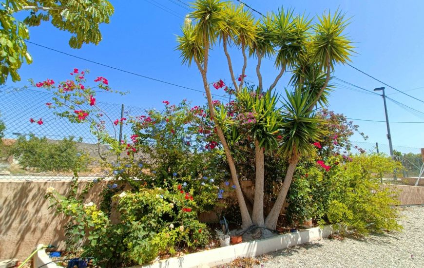 Sale - Finca - Abanilla