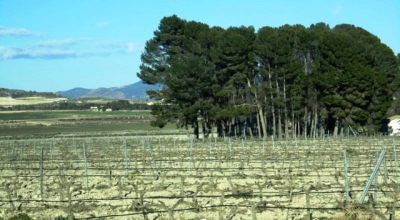 Land - Sale - Salinas - Salinas