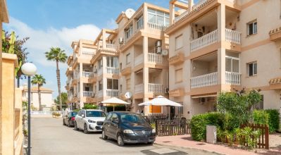 Apartamentos - Venta - Playa Flamenca - Playa Flamenca