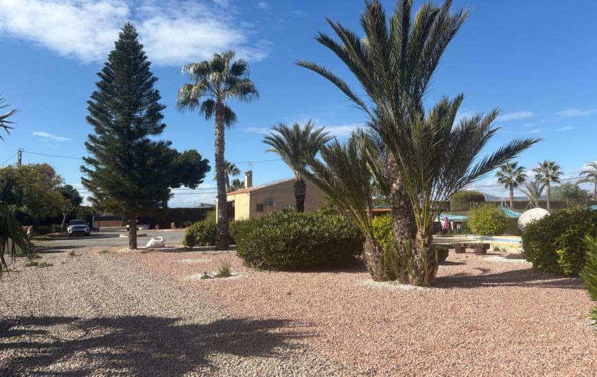 Venta - Villa - Albatera