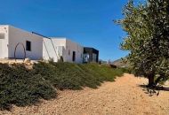 New Build - Villa - Jumilla