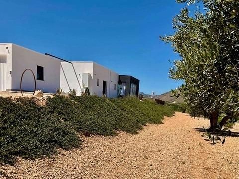 New Build - Villa - Jumilla