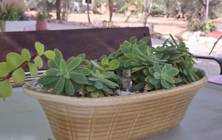Venta - Casa Rural - Hondon de los Frailes